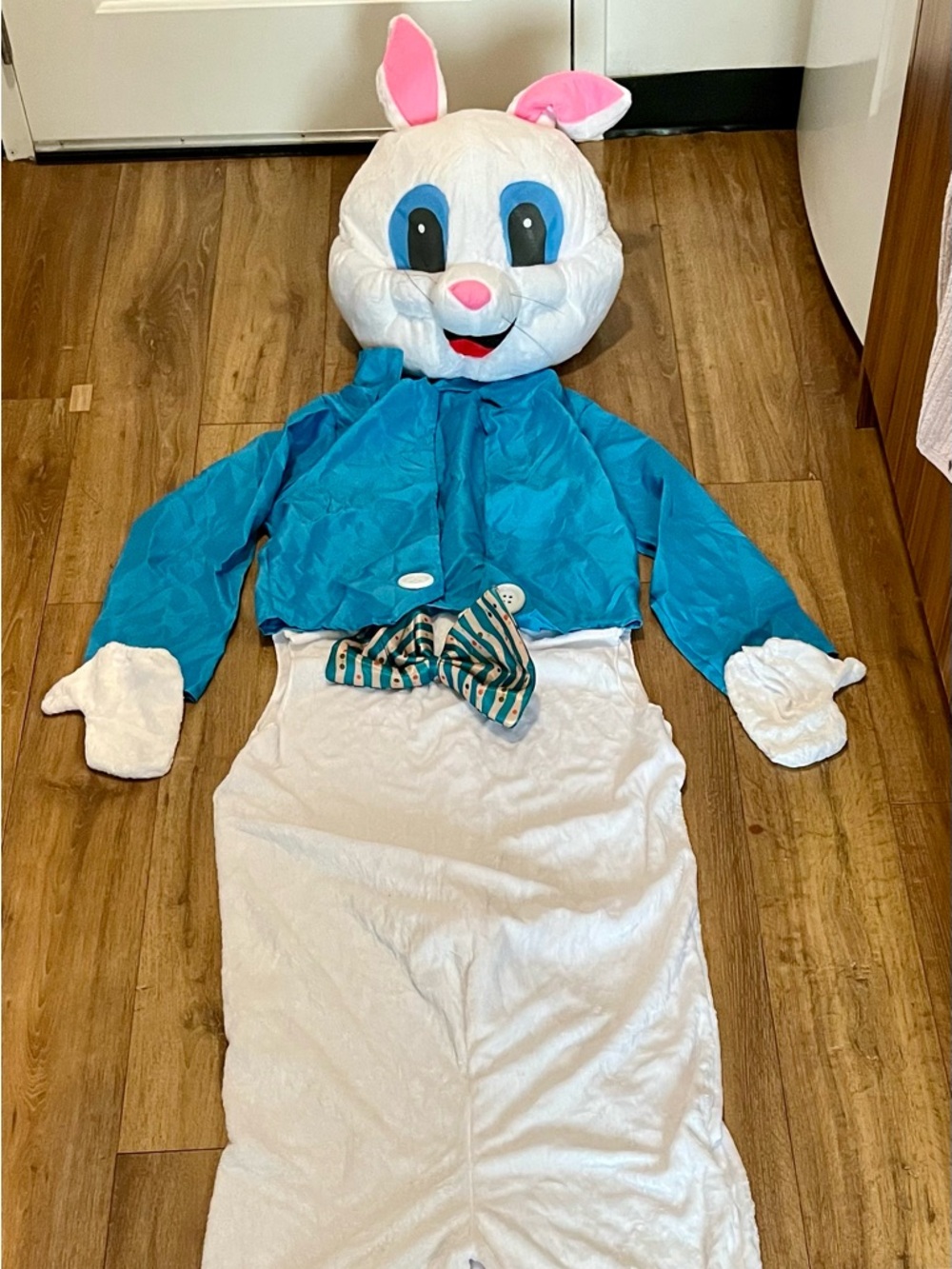 Vintage Style Easter Bunny Mascot Costume